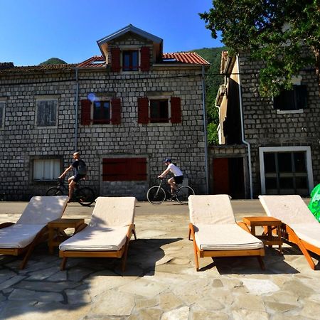 A Hundred Olive Trees Apartments 코토르 외부 사진